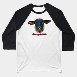 Looking Sheepish Baseball T-Shirt